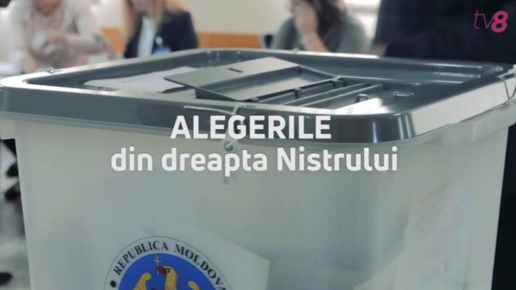 alegerile-d