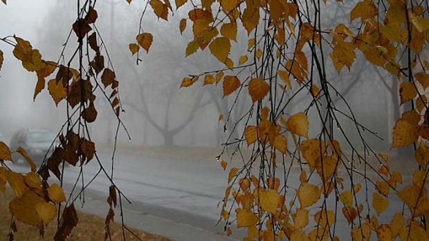 Foto: Romania TV