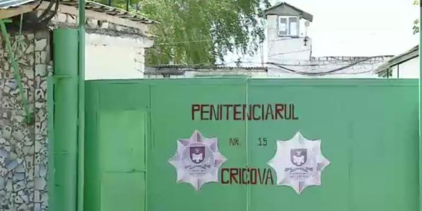 cricova