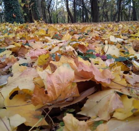 Foto: jurnaldevreme
