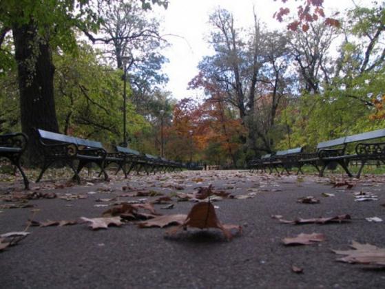 Foto: covasnamedia