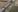GALERIE FOTO/VIDEO. Imagini sfâșietoare din locul prăbușirii avionului ucrainean Boeing 737