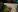 Australia aruncă mii de tone de morcovi și cartofi dulci din elicoptere pentru animalele care au spraviețuit incendiilor