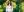 /VIDEO/ A făcut din Bardar o mică Olandă, iar acum vrea să renunțe la afacere