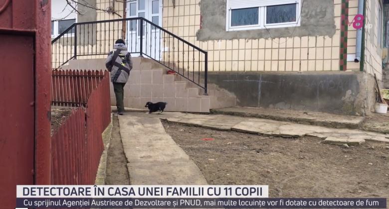 cats-87