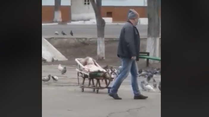 Captură foto