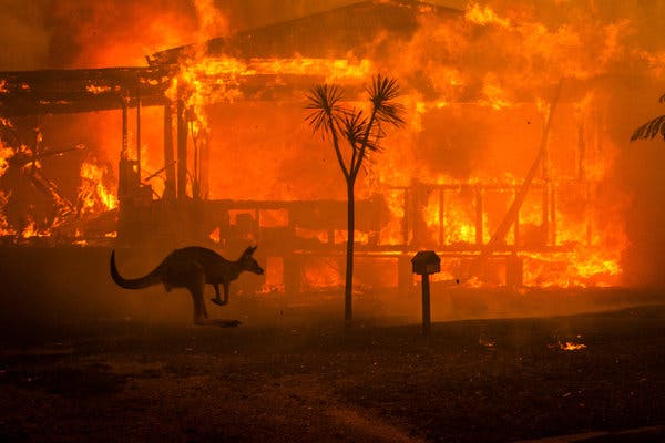 Foto: The new York times