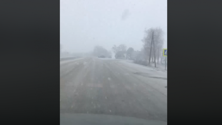 Video: Puscasu Iura