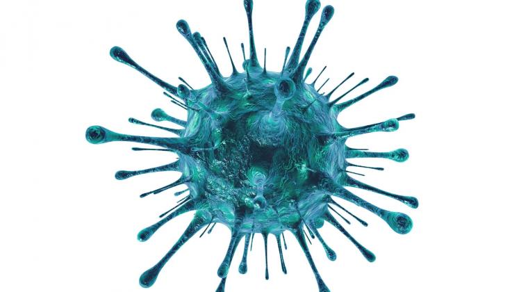 coronavirus2