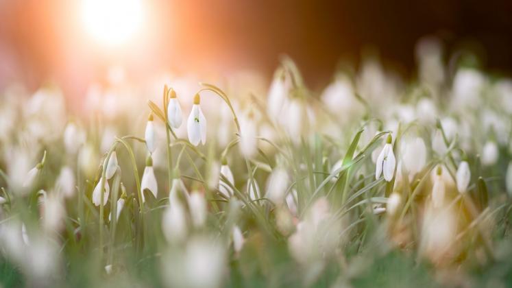 Foto simbol: Canva