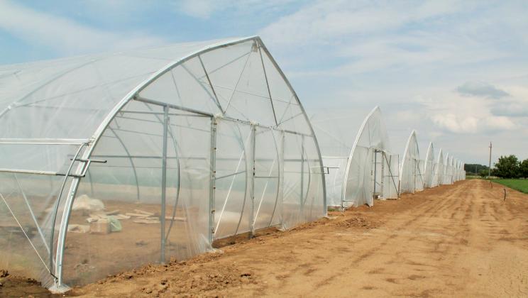 ecofarm