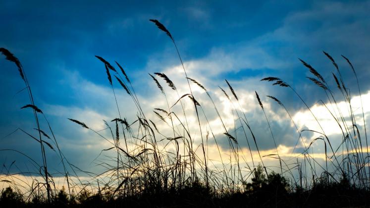 Foto simbol: Canva
