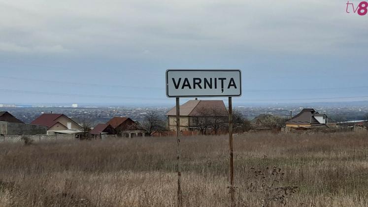 varnita-22