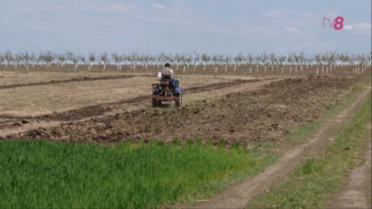 agricol