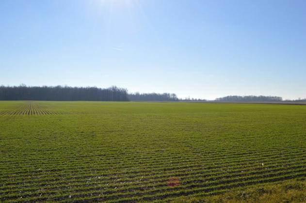 Foto: agrimanet