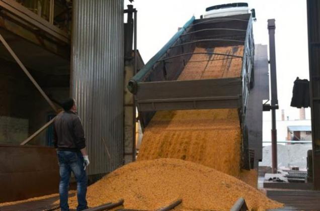 agrobiznes
