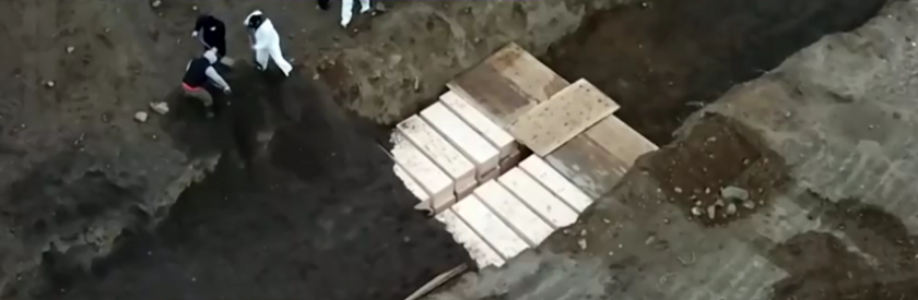 Captură