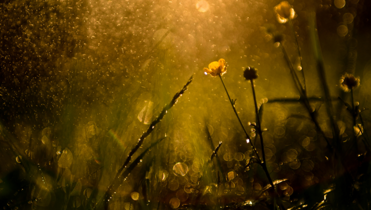 Foto simbol: Canva