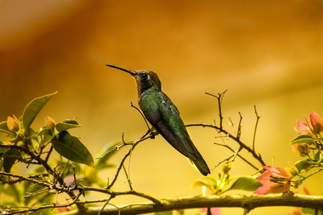 Foto simbol: canva