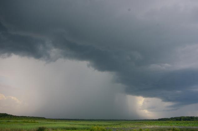 Foto: wikipedia