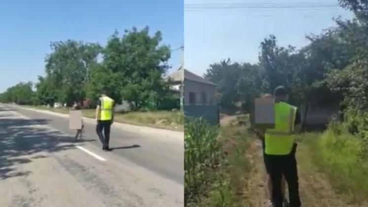 Foto: Captură/ Facebook INSP