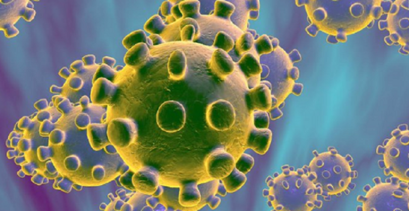 coronavirus-5