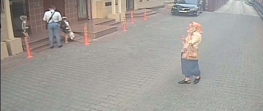 Captură