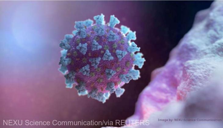 2020-06-25t000000z_1998081922_rc2mgh91ej72_rtrmadp_3_health-coronavirus-brain