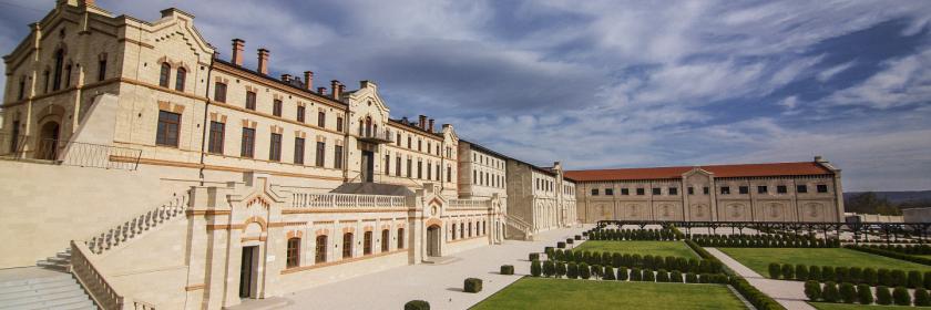 castelmimi,md