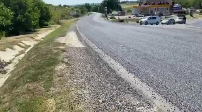 FOTO: captură video