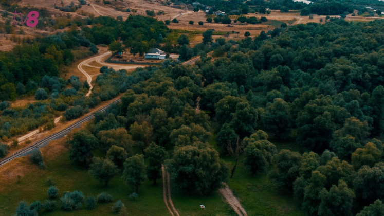 lacul-beleu-pasari-natura-meteo-6