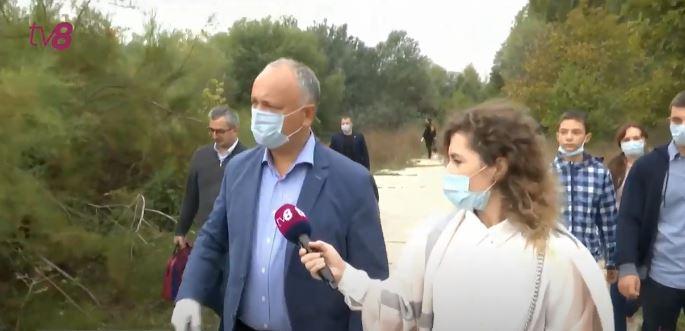 dodon-86