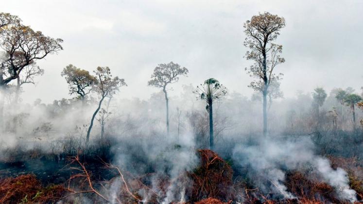 Foto: CNN