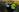 /VIDEO/ Șofer beat încătușat la Sângera. Avea un comportament agresiv și circula haotic prin localitate