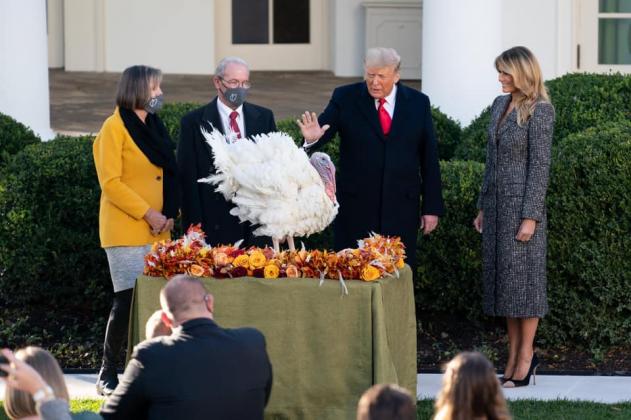 Foto: First Lady Melania Trump/Facebook