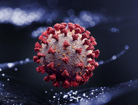 corona-virus