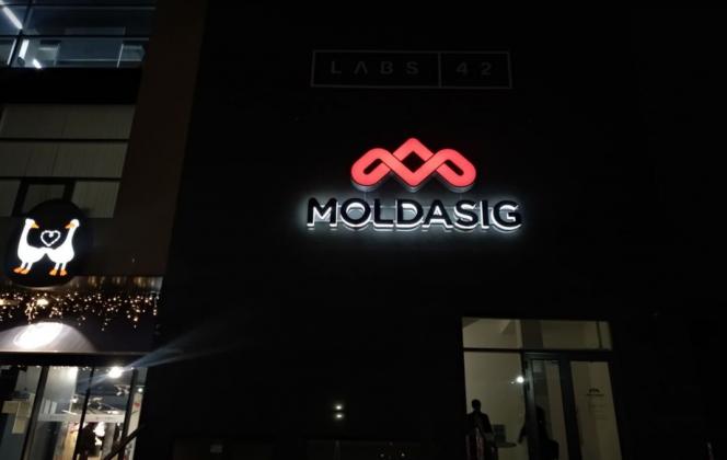 Foto: tv8