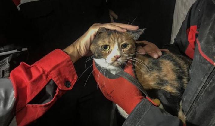 Foto: Twitter