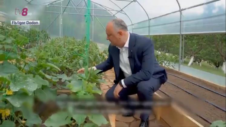 dodon-3-3