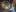 SUA: Intră în vigoare măsuri înăsprite care sunt orientate spre eliminarea fenomenul fraudării datelor odometrului