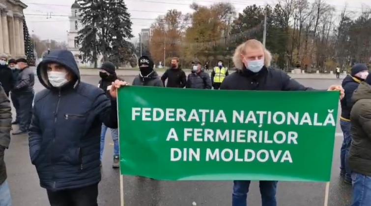 protest2-4