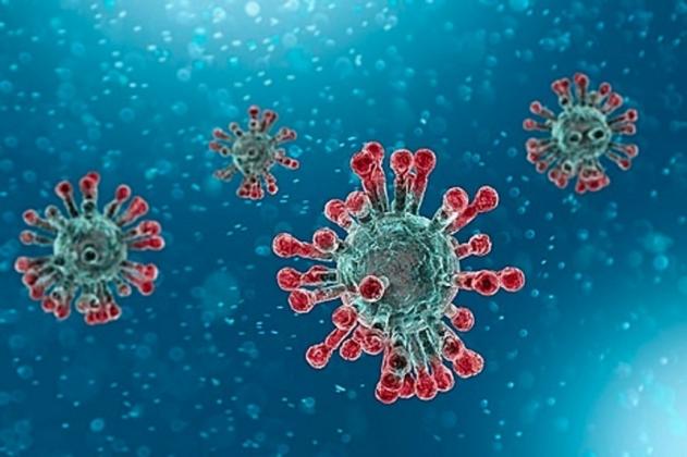 coronavirus-var