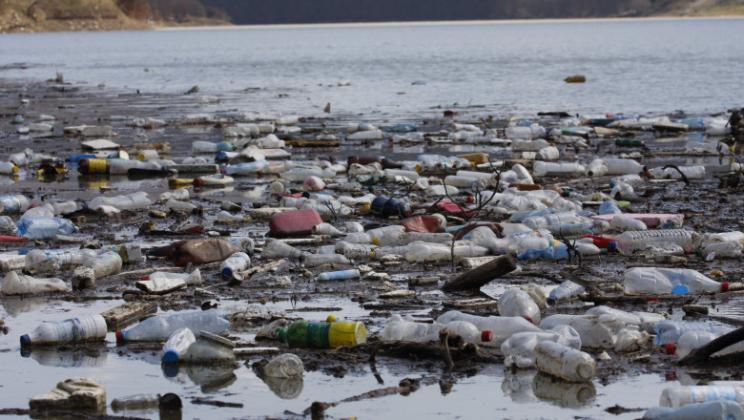 Foto: Getty Images