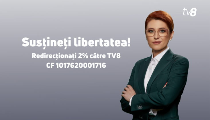 design-fara-titlu-3-13