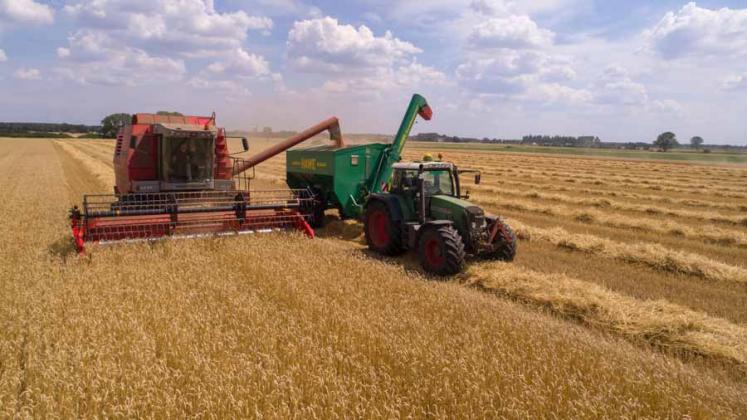 Foto: agrostandard