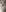 /FOTO/ Un lot de arahide din India, oprit la frontieră. Ce au descoperit inspectorii ANSA