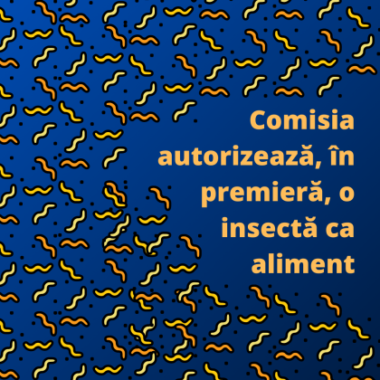 182667535_10158128069432031_7143455577776187396_n