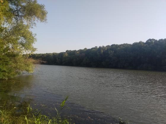 Foto simbol