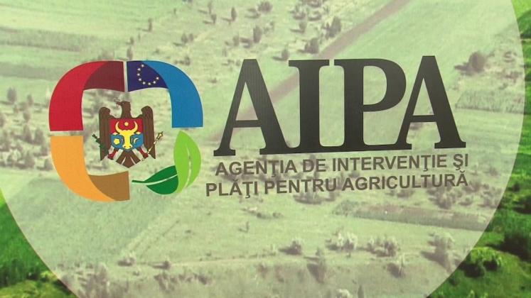 aipa-aipa