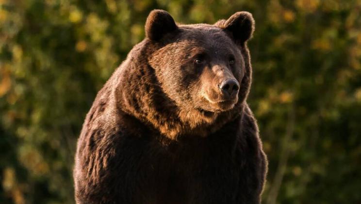 Sursă foto: Digi24